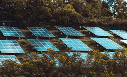 Deploying Responsible AI Across the Emirates